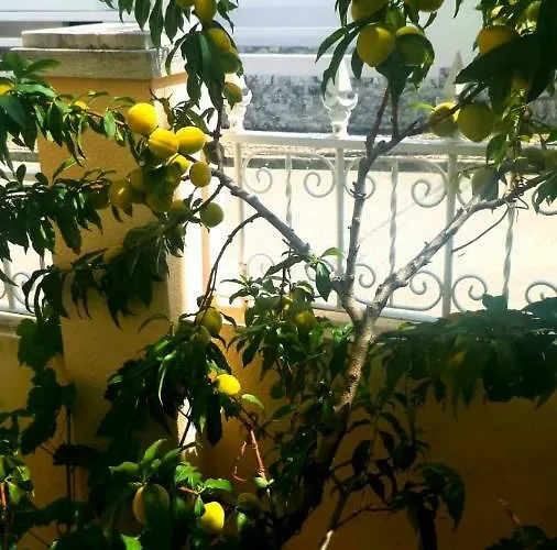 Casa Em - Setubal * Палмела